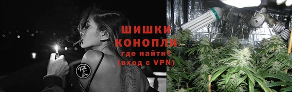 трава Козельск