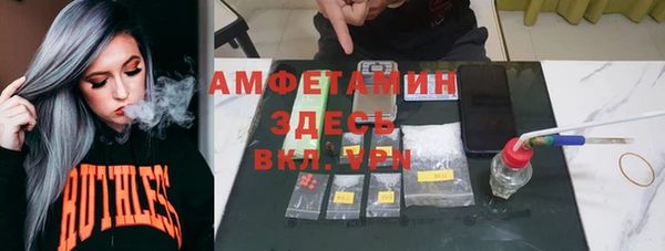 сатива Костерёво