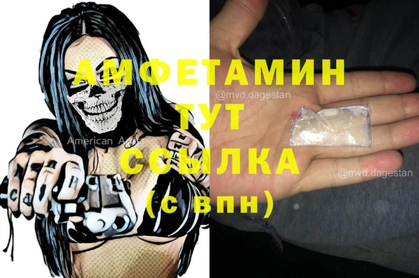 сатива Костерёво